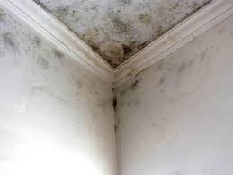 Best Residential Mold Inspection & Testing  in Rock Island, WA