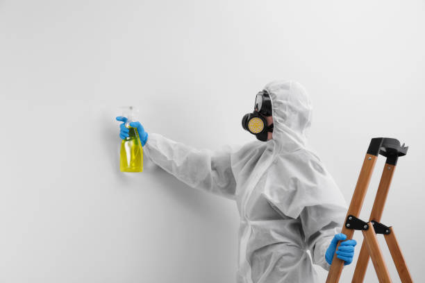 Best Forensic Mold Investigation  in Rock Island, WA